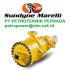 Marelli Pump PT Persada Petro Pump Pump 1